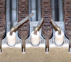 ar microgenus 24 mffi he ige insitu.jpg